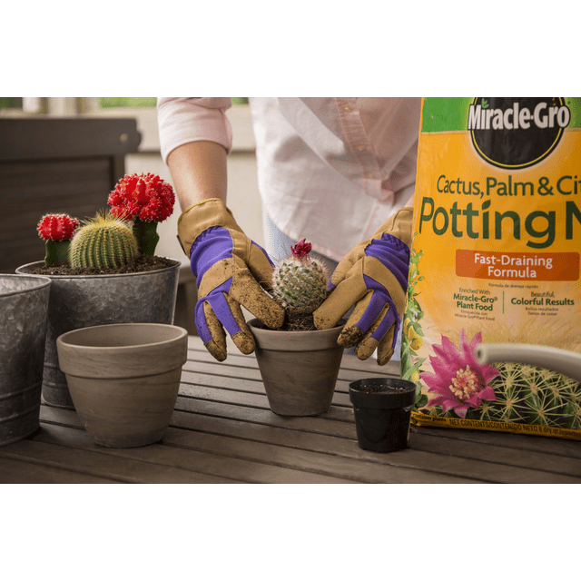Miracle-Gro Cactus, Palm & Citrus Soil, Great for Succulents, 8 qt.