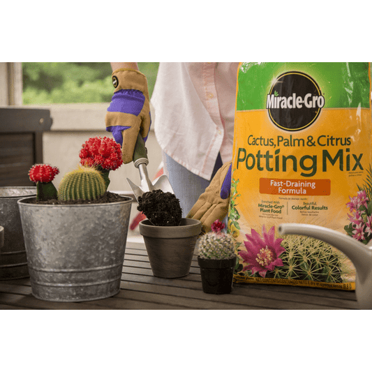 Miracle-Gro Cactus, Palm & Citrus Soil, Great for Succulents, 8 qt.